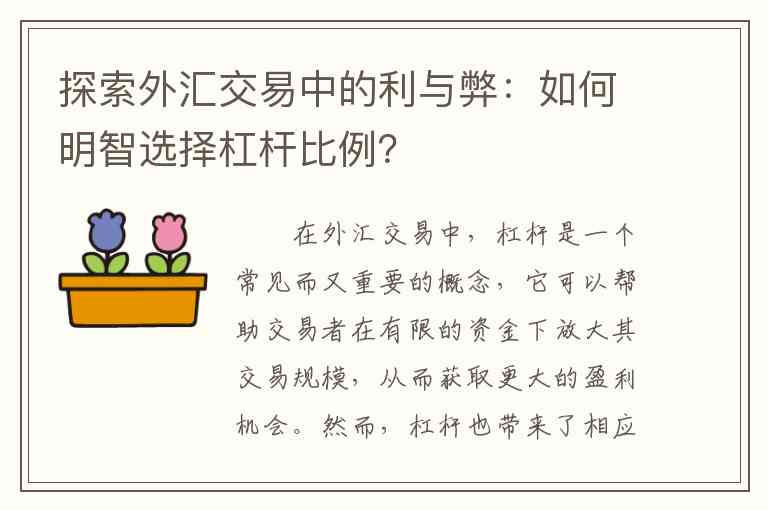 探索外汇交易中的利与弊：如何明智选择杠杆比例？